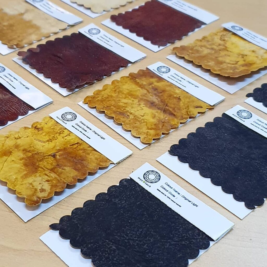 Vegan Leather Made From Mushrooms