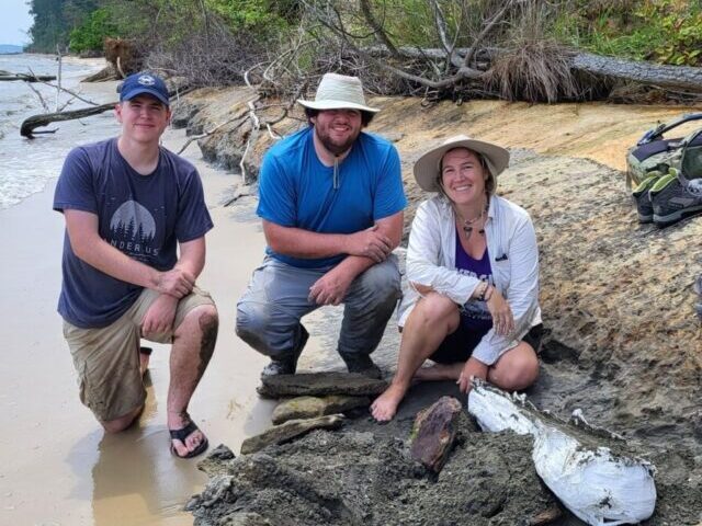 15-Million-Year-Old Dolphin Skull Found