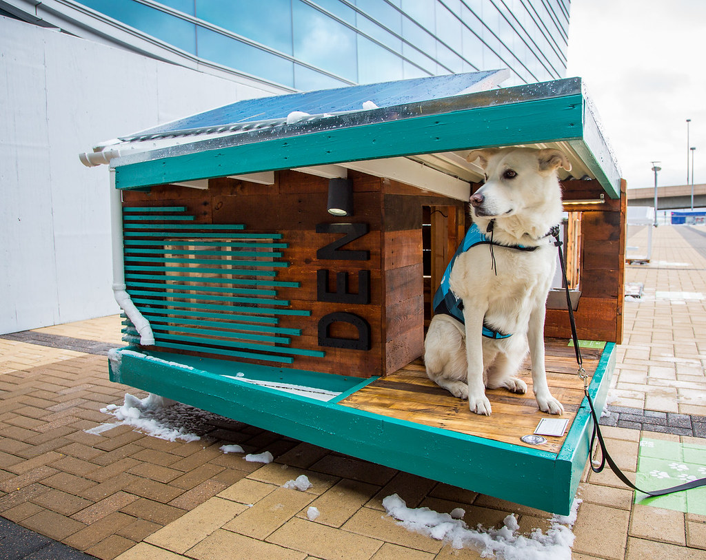 Denver International Airport/U.S. Department of Energy Solar Decathlon