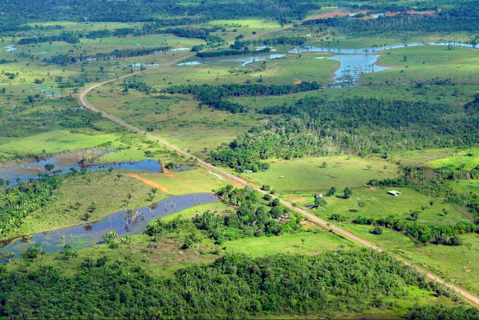 Amazon 6, Photo Credit: ©2011CIAT/NeilPalmer