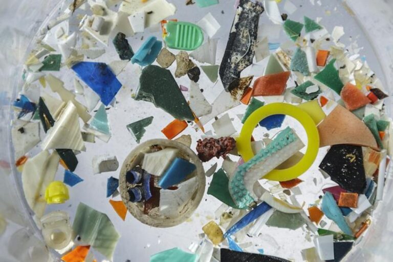 Why Scientists Are Warning Against a Reliance on Mechanical Devices to Clear Water Bodies of Plastic