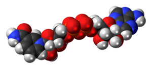 X-Energy's Mobile Microreactor Project Receives Major Boost from DOE Partnership!