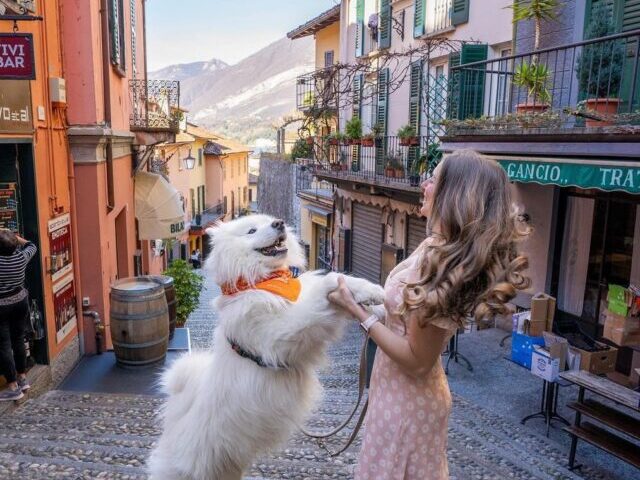 cropped-CiaofromLakeComoSorryforthelackofupdatesrecently.IhopetobebackonMondaywithdailystorieslakecomobellagiotravelitaly..dogmummybabysamoyedsamojedecutedogpuppyhunddogs.jpg