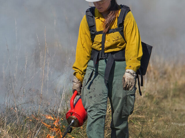 Cuyahoga Valley Sets Ablaze Controlled Fires for Ecosystem Health!