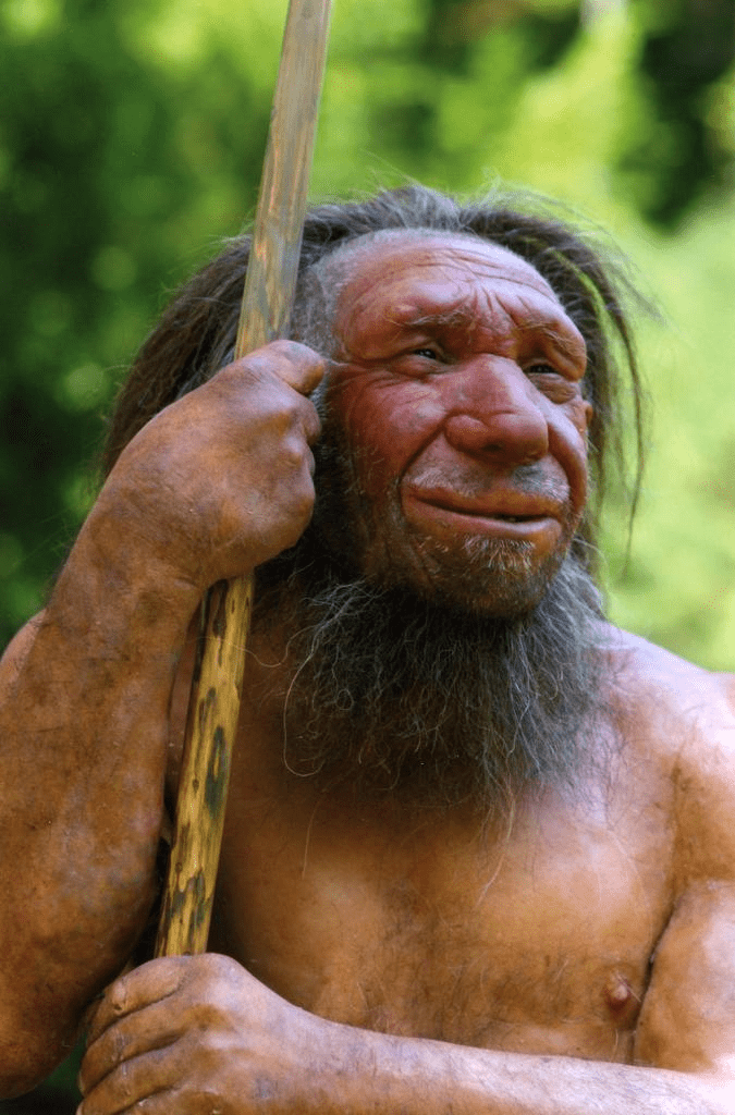 Neanderthal vs. Homo Sapiens