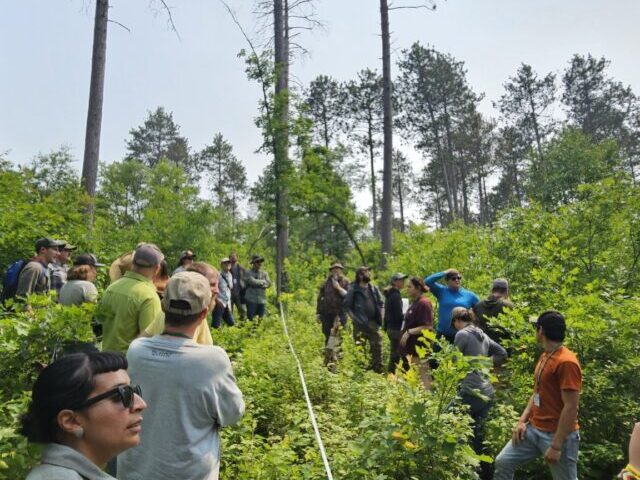 Intertribal Timber Council