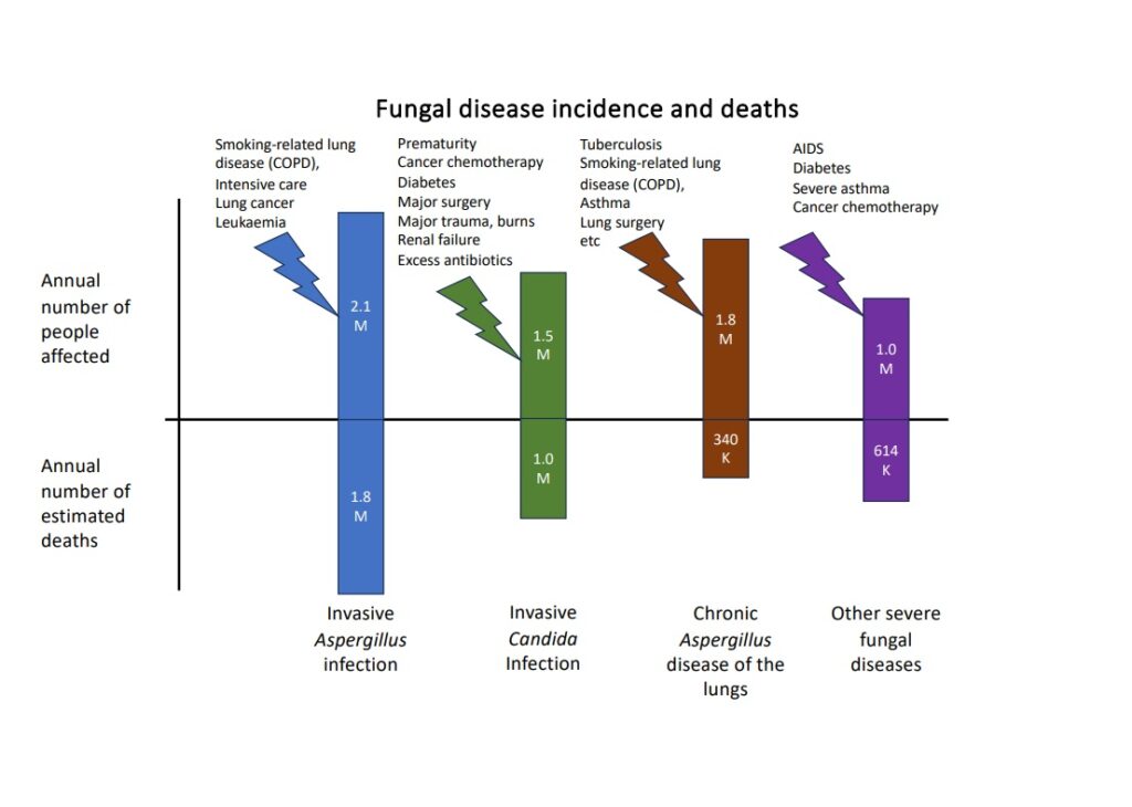 Fungal disease incidence and deaths