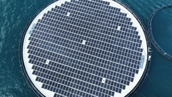 Long-Term Partners GCL SI and Ocean Sun Illuminate the BOOST Floating Solar Demonstrator in Spain