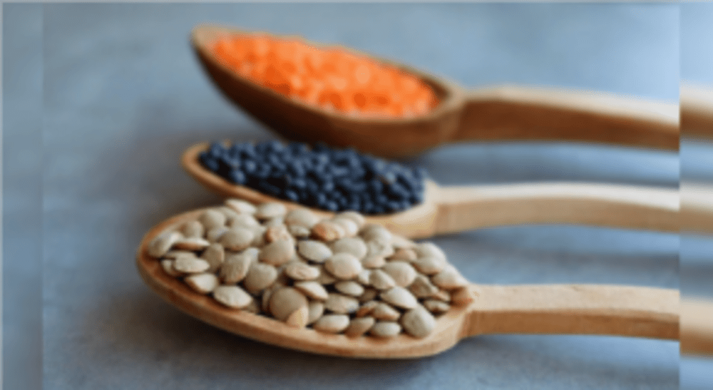 lentils in wooden spoon.