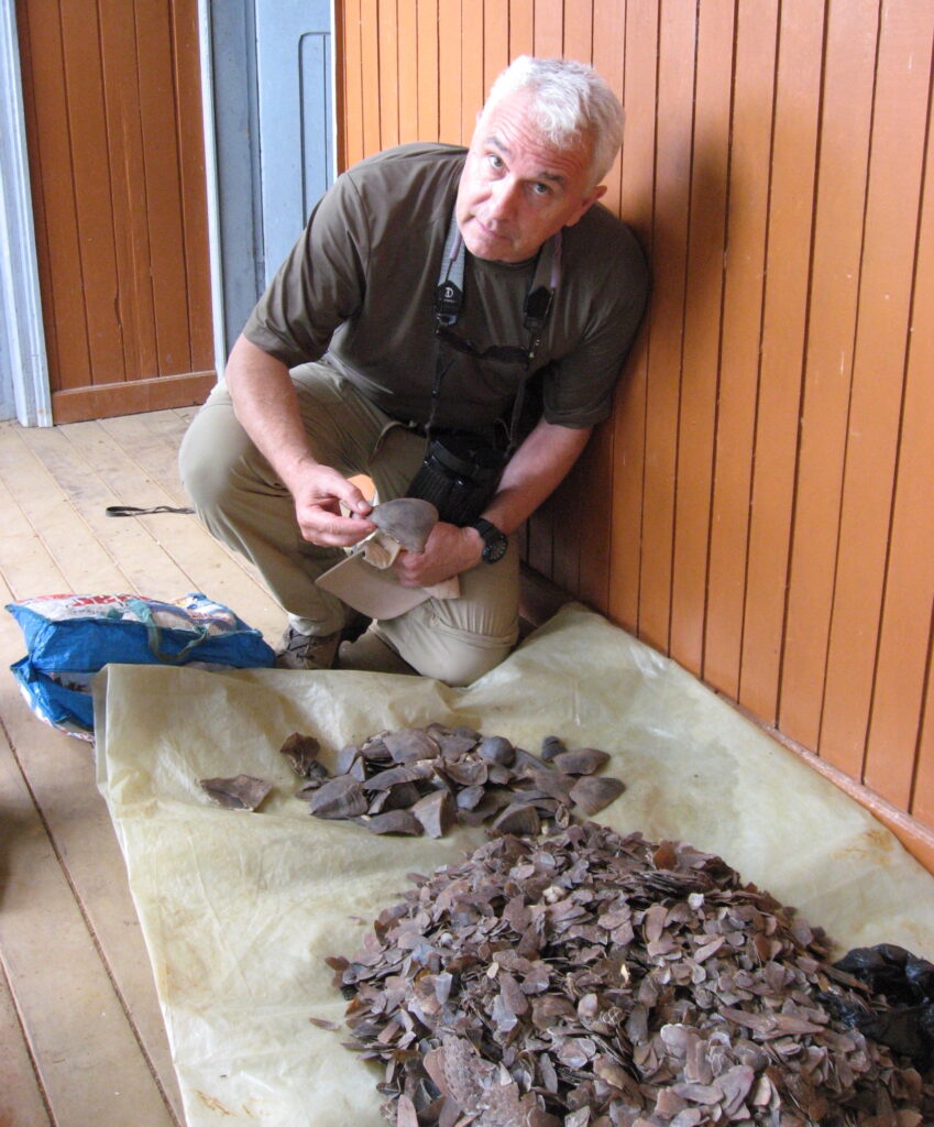 Thomas Smith, founding director of the UCLA Center for Tropical Research, with a pile of pangolin scales.
