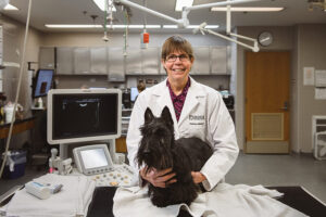 Deborah Knapp studies cancer in Scottish terriers to help advance the science of detecting and treating early cancer in both humans and dogs. (Photo Source: Purdue University/Rebecca McElhoe)