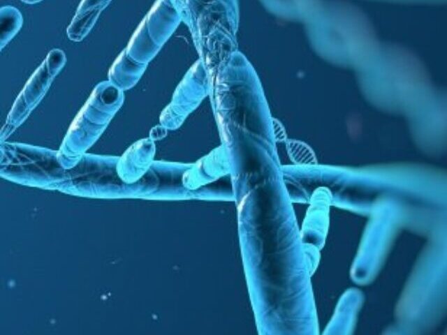 cropped-dna-structure-481.jpg