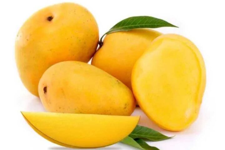 Hapus Mango