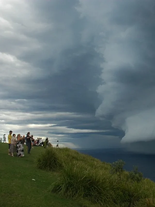 WMO Day 2024 Highlights The Frontline Battle Against Global Warming