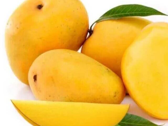 Hapus Mango