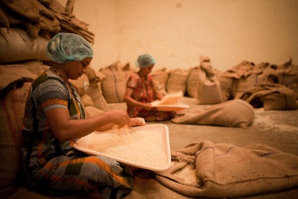 woman holding tray with rice, Women, Work, Mangalore, India, working,