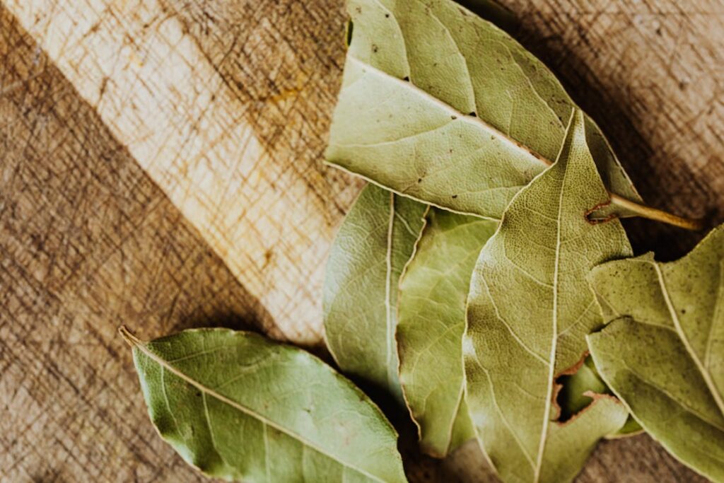 Bay leaves