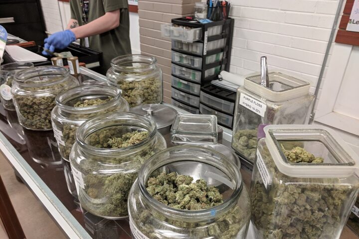 A variety of strains at a recreational marijuana dispensary in Denver, Colorado. Photo Credit: My 420 Tours (CC BY-SA 4.0 DEED)