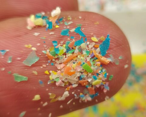 Artist Impression of Microplastic on Finger, Photo Credit: Giganectar, {CC BY-SA 4.0 DEED}