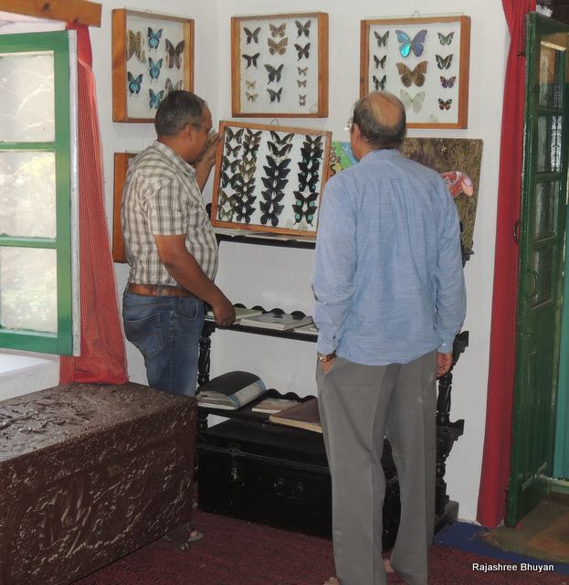 How Papilio polyctor became Papilio bianor, as Dr Rahmani looks on...