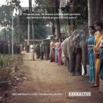 Wildlife at India's 2024 Elections Campaign, Photo Credit: Karmactive.com