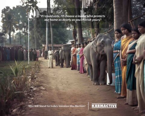 Wildlife at India's 2024 Elections Campaign, Photo Credit: Karmactive.com