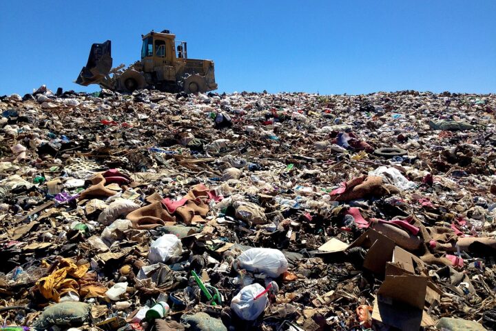 King of the Trash Hill, Photo Credit: Alan Levine (CC BY 2.0 DEED)