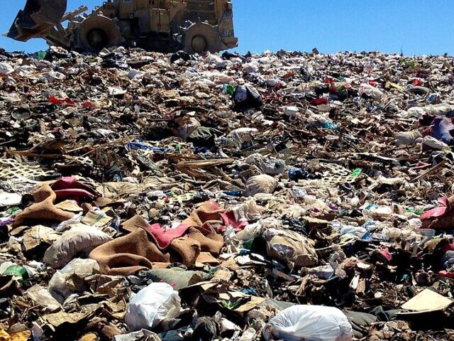 King of the Trash Hill, Photo Credit: Alan Levine (CC BY 2.0 DEED)