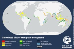 The world’s mangrove ecosystems cover about 150 thousand km2 along mainly tropical, sub-tropical and some warm temperate coasts of the world. About 15% of the world’s coastlines are covered by mangroves. Photo Credit: IUCN