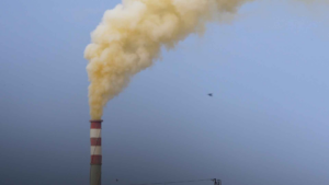 WHO Updates Its Global Air Quality Guidelines