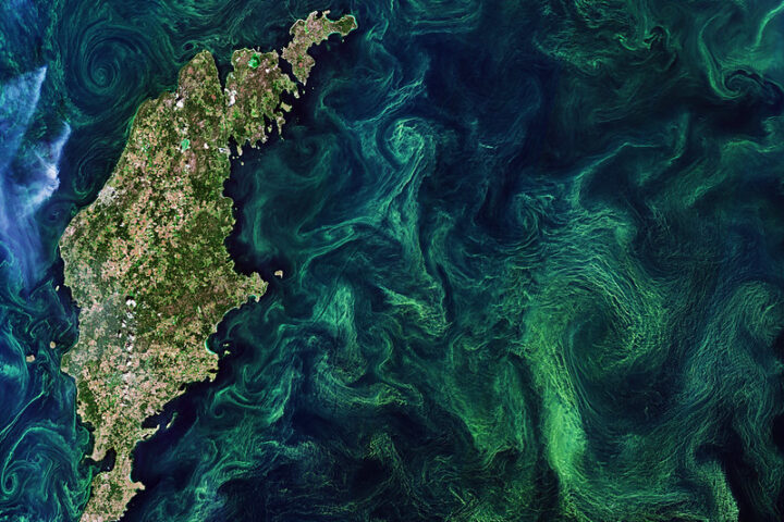 AI Steps Up in the Fight Against Climate-Driven Algal Blooms Photo Credits: European Space Agency