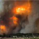 Fast-spreading wildfires in New Mexico, Photo Source - RDR UAP Reporter