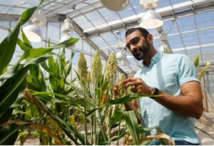 Dhruv Patel-Tupper, PhD '22 Plant Biology, who led the study as a postdoctoral researcher in the lab of PMB professor Krishna Niyogi.Photo by Chris Gee