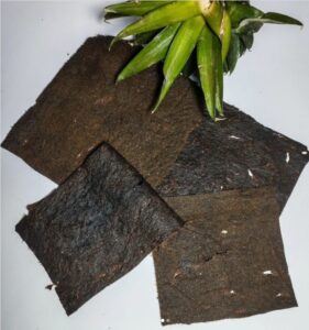 Sustainable, cruelty-free, and high-quality ECO-NASI Leather ,Photo Source : econasi_kenya