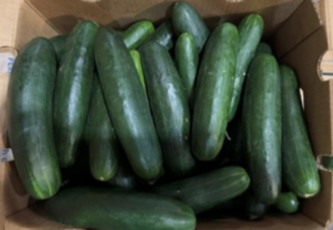 Fresh Start Produce Sales Initiates Recall of Whole Cucumbers Because of Possible Health Risk Photo Credit: FDA U.S. Food and Drug Administration