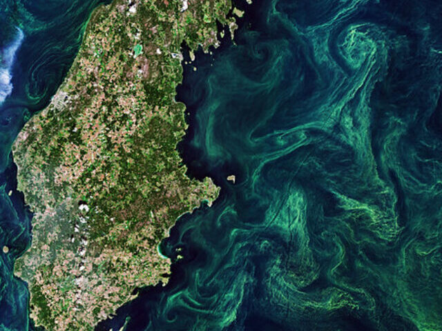 AI Steps Up in the Fight Against Climate-Driven Algal Blooms Photo Credits: European Space Agency