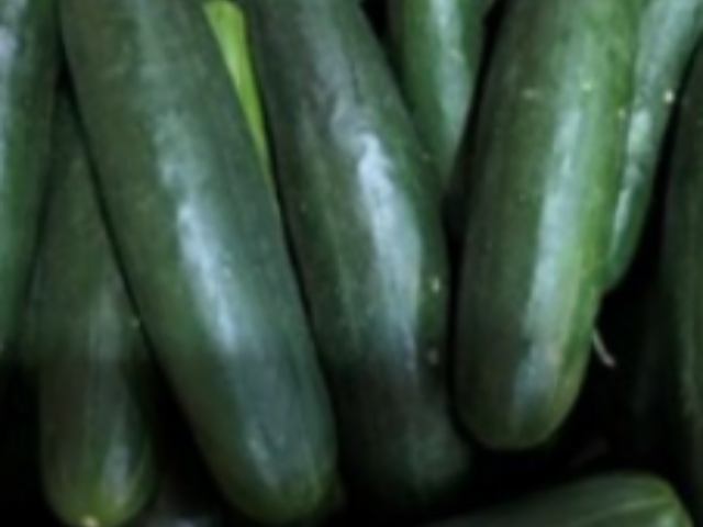 Fresh Start Produce Sales Initiates Recall of Whole Cucumbers Because of Possible Health Risk Photo Credit: FDA U.S. Food and Drug Administration