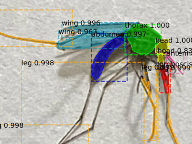 AI Targets Malaria in Africa: Will Smart Traps Curb Africa’s Rising Mosquito Threat? Photo Credits: USF