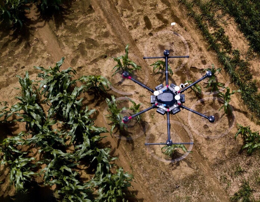 The software can visualize - the future growth of the plants using drone photos or other images from an early growth stage.