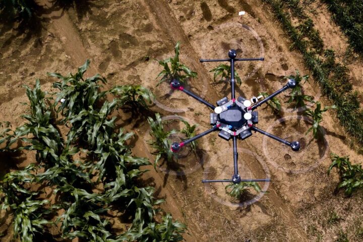 The software can visualize - the future growth of the plants using drone photos or other images from an early growth stage.