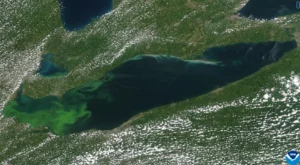 Image of a harmful algal bloom in Lake Erie as seen from the NOAA/NASA Suomi-NPP satellite on August 16, 2015. The Ocean Color Instrument on GeoXO will overcome the limitations of low-Earth orbiting satellites whose observations are often affected by cloud cover and sunglint. Photo Source: NOAA