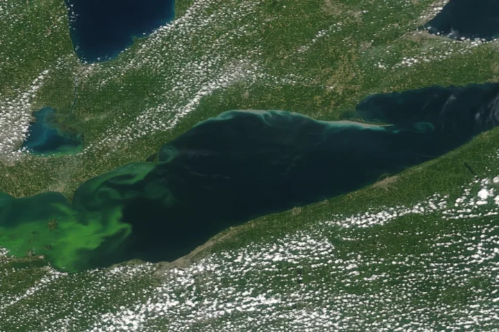 Image of a harmful algal bloom in Lake Erie as seen from the NOAA/NASA Suomi-NPP satellite on August 16, 2015. The Ocean Color Instrument on GeoXO will overcome the limitations of low-Earth orbiting satellites whose observations are often affected by cloud cover and sunglint. Photo Source: NOAA