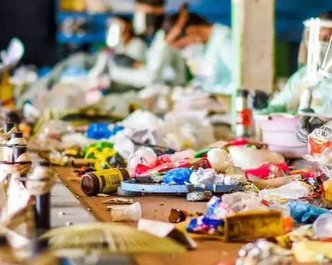 Plastic waste endangers wildlife and threatens ecosystems and the food chain Photo Credits : Nestle