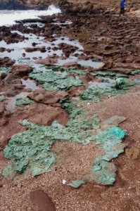 Trindade Island