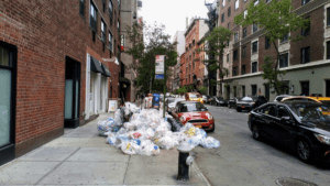 NYC Changes Outdated Trash Rules to Reduce Rodent Problems in New York City