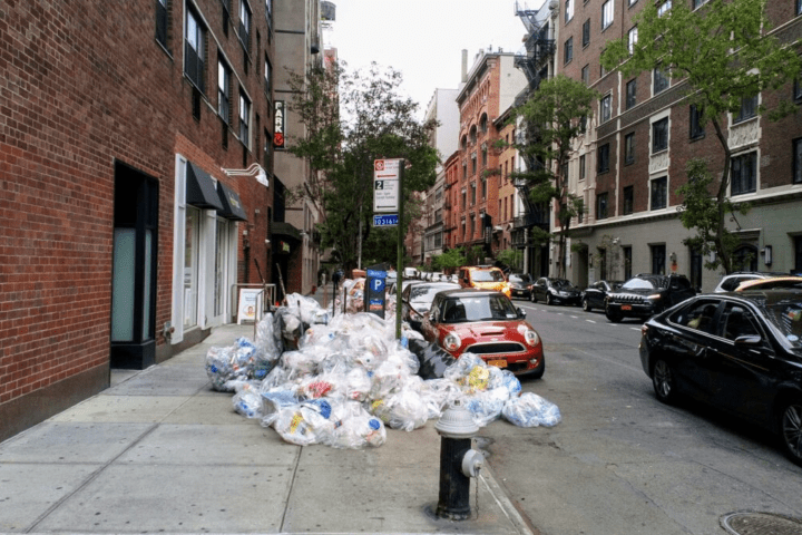 NYC Changes Outdated Trash Rules to Reduce Rodent Problems in New York City