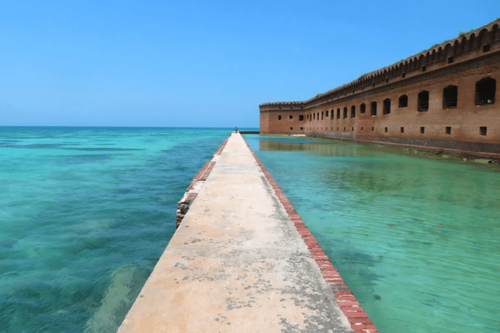 Uncover the Secrets of a Isolated Paradise : Dry Tortugas National Park