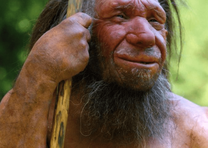 Neanderthal vs. Homo Sapiens
