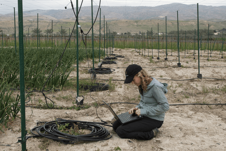 Caption:GEAR Lab student Carolyn Sheline troubleshoots a drip irrigation system at a full-scale test farm in the Jordan Valley where the team is piloting a low-cost precision irrigation controller that optimizes system energy and water use.