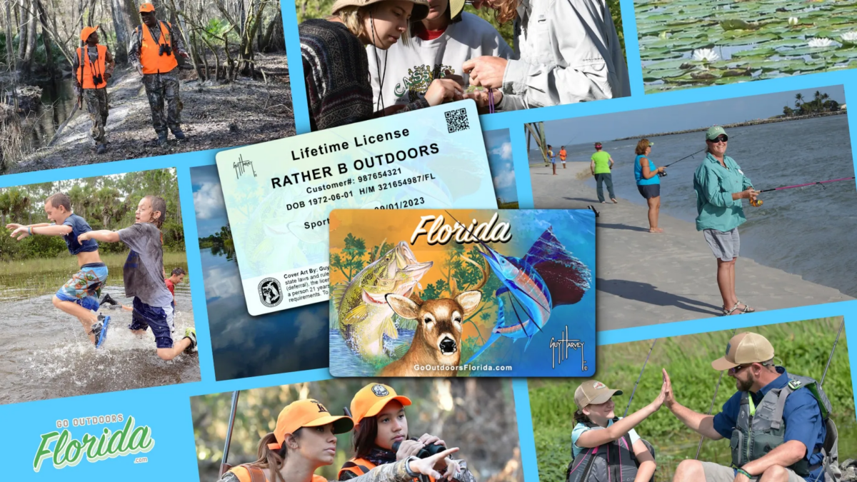 MyFWC Florida Fish and Wildlife Snag 50% Off on State Park Passes and FWC Licenses